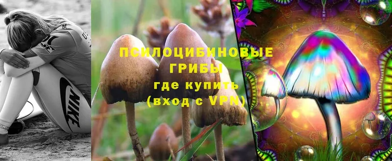 закладки  Лянтор  Галлюциногенные грибы MAGIC MUSHROOMS 